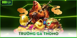 Trường Gà Thomo